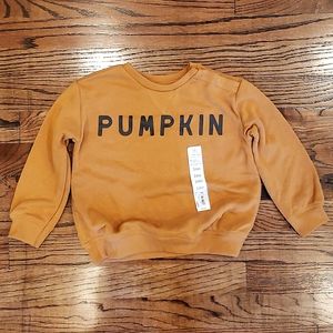 Little Co by Lauren Conrad PUMPKIN Sweatshirt Size 24 Months 2T